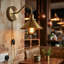 Plug-in Armed Sconce-1189557373