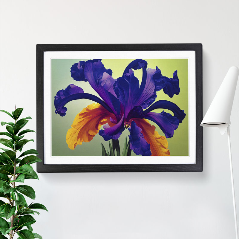 Tranquil Iris Flowers - Single Picture Frame Print, Black Framed, 25cm H x 34cm W x 2cm D