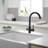 VIBRANTBATH Pull Out Kitchen Faucet