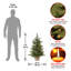 The Holiday Aisle® Nordic Spruce Tree with Clear Lights-1808368497