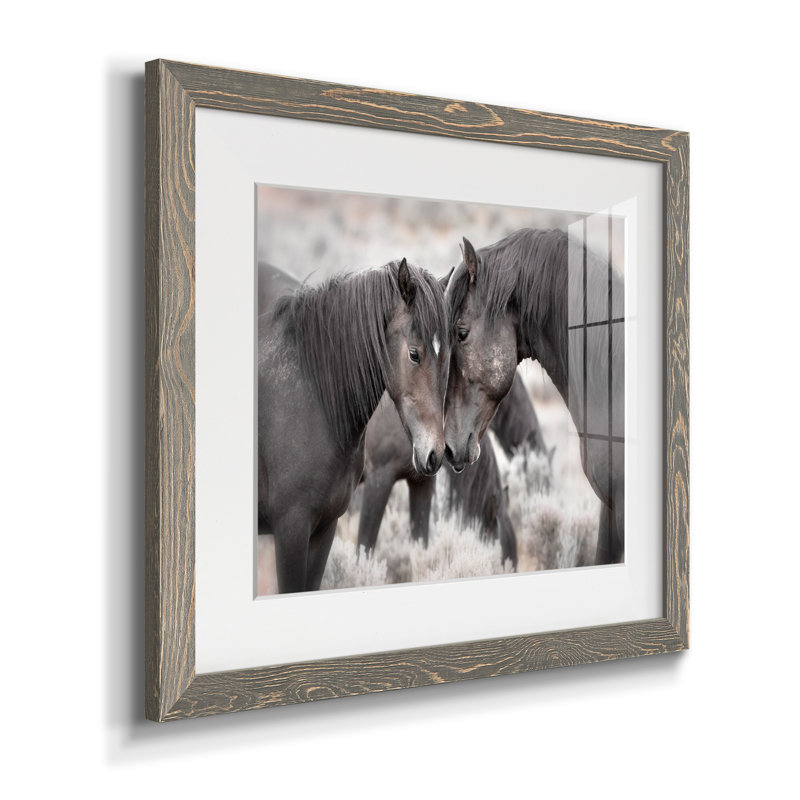 Chevaux sauvages - Photographie avec cadre photo, H 37,5 po x l 27,5 po x P 1,5 po, Encadré gris