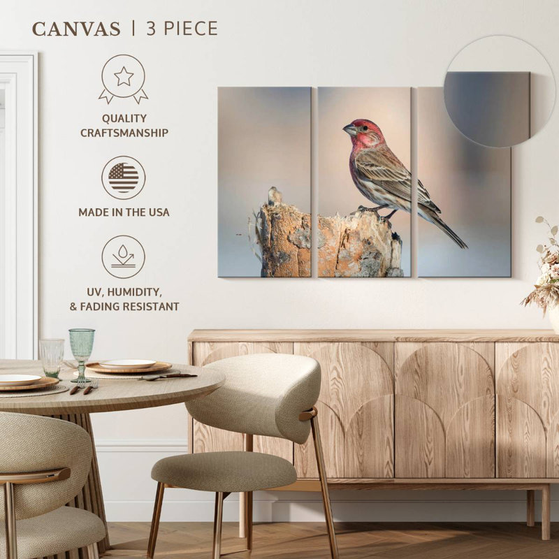 House Finch Bird, 36" H x 57" W