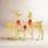 LED Lighted Reindeer Family Set