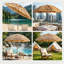 Parasol