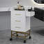 Chariot de rangement Beauty Adaysia-284242732