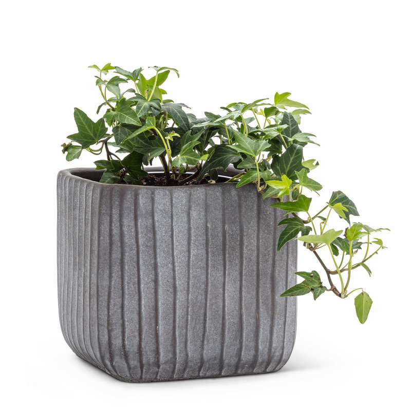 Planter Box, Gray, 5.5" H x 5.5" W x 5.5" D