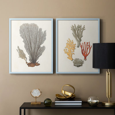 Knorr Shells & Coral III - reproduction encadrée de qualité supérieure - prête à être accrochée - aucun clou requis - aucun clou requis