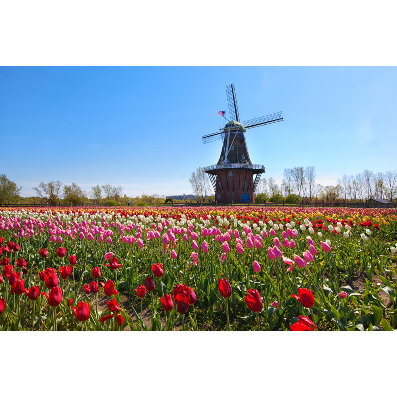 Wooden Windmill by Csterken - Wrapped Canvas Print, 30cm H x 46cm W