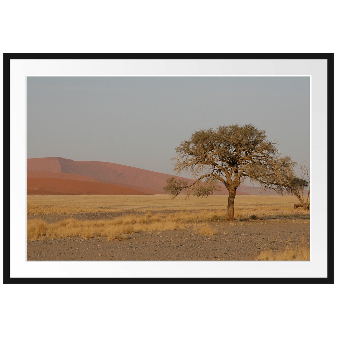 Gerahmtes Poster Einzelner Baum in Wüste