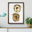 Two Owls by John Gould - Picture Frame Painting Print-55606131-55606132