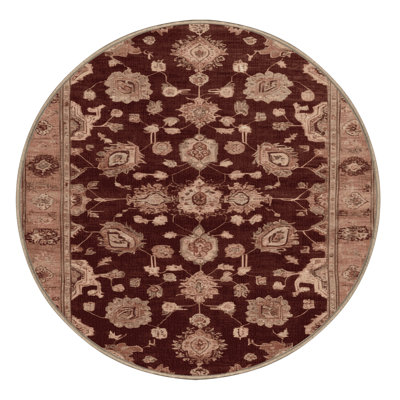 Machine Washable Overdyed Brown Area Rug
