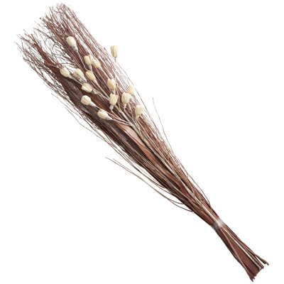 Satanta Branch Plant