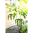 Hampson Ceramic Hanging Planter