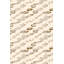 Tapis d'entrée de qualité supérieure, 31,5 po x 59,1 po | 100% polyester, hauteur des poils de 0,4 po, antibactérien et envers en PVC antidérapant | Conception tissée avec impression numérique 3D, lavable à la machine, idéale pour la décoration intérieure et les vestibules-397107971