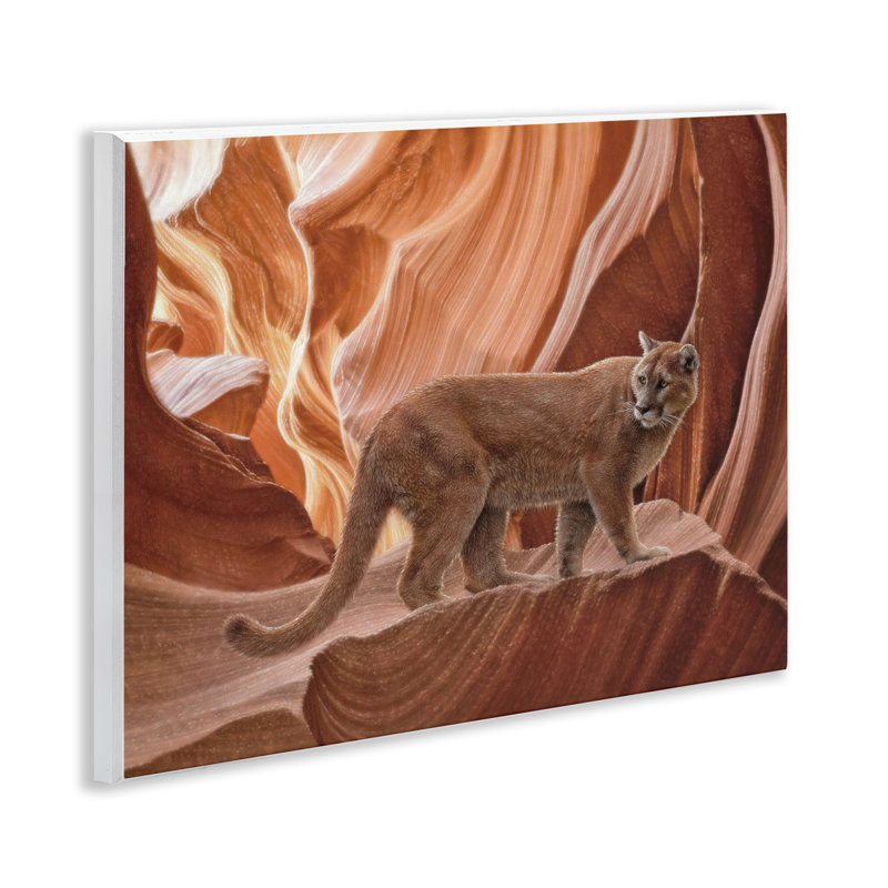 Cougar Canyon View Wall Plaque, design by Collin Bogle
