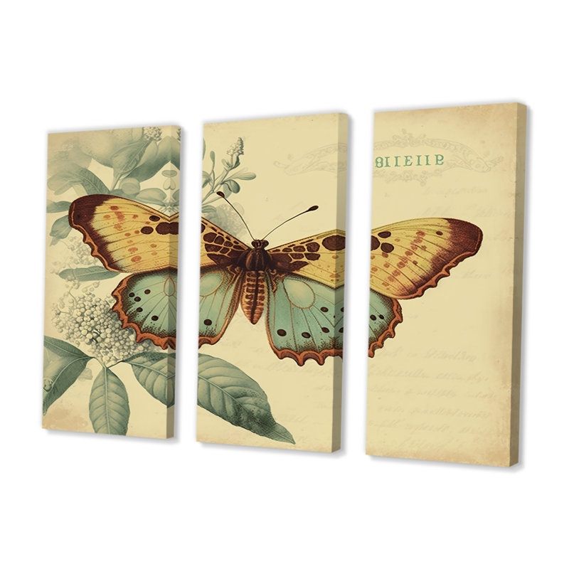 Illustration rétro de papillons VI - animaux, ensemble d'art mural sur toile_80517, H 28 po x l 36 po x P 1 po, Toile tendue