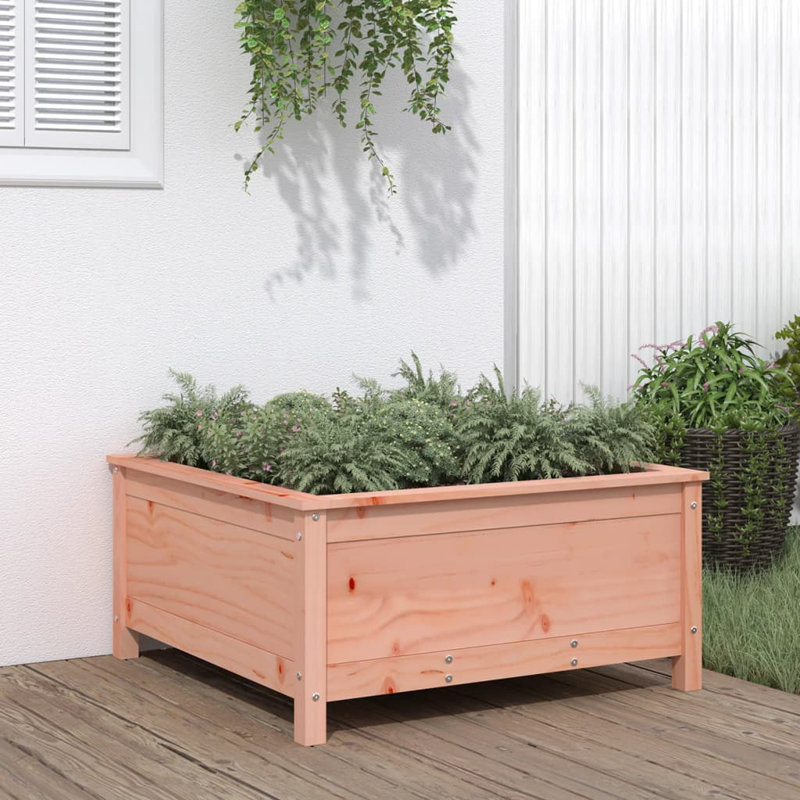 Bojana Wood Pot Planter, Brown, Douglas, 39cm H x 82.5cm W x 82.5cm D
