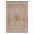 Botolphus Oriental Indoor Rug-2111019704