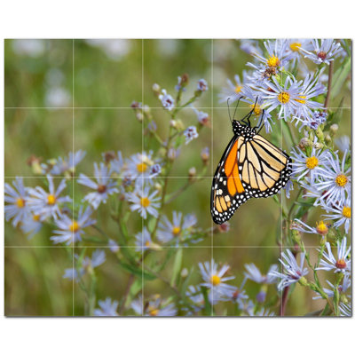 Picture-Tiles.com PT500292-54XL