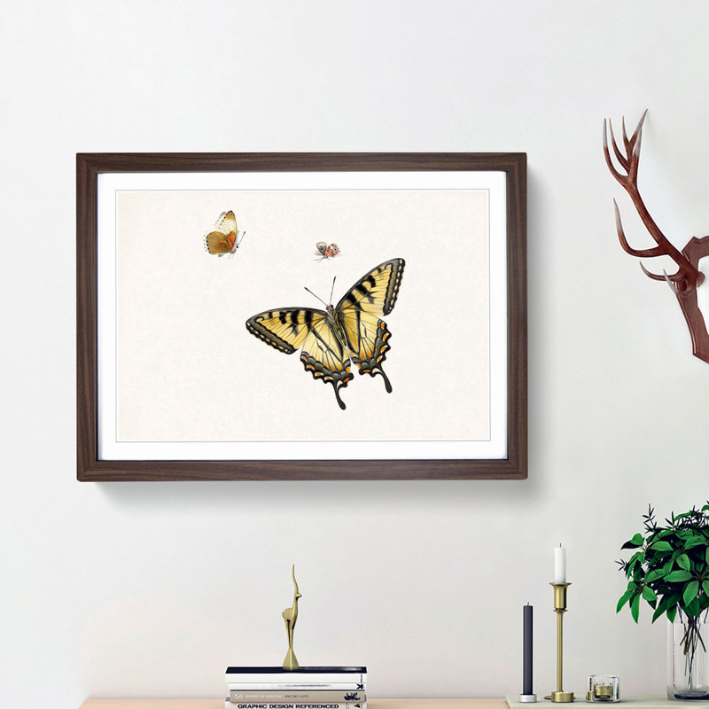 Three Butterflies by Herman Henstenburgh - Picture Frame Painting Print, 48cm H x 65cm W x 2cm D, Walnut Framed