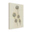 Bolognaise «Seed Pods Study II» sur toile-98390349