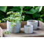 Garden Floral Planter-1917673293