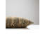 MUIR WOODS PILLOW-991562351