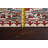 Vegetable Dye Ziegler Oriental Area Rug 8x10