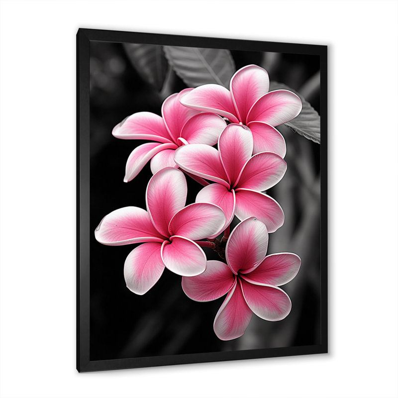 Plumeria Flower Paradise I - impressions sur toile florales et botaniques, H 20 po x l 12 po x P 1 po, Cadre photo noir