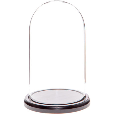 Vucciria Glass Display Dome Cloche