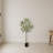 Olive Artificial Tree