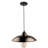 1 Light Outdoor Pendant-1690317953