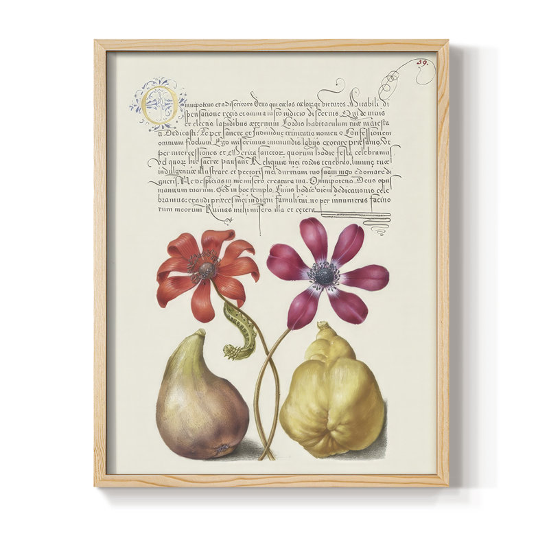 Reproduction encadrée de Hoefnagel, «Tropical Specples» - bois massif, Natural, 21" H x 17" W
