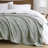Carved Plush Standard Throw Blanket-791558698-791558711