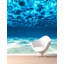 Murale de plage sous-marine Doory-1984107487