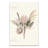 " Protea Bloom II "