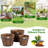 Edalene Wood Barrel Planter