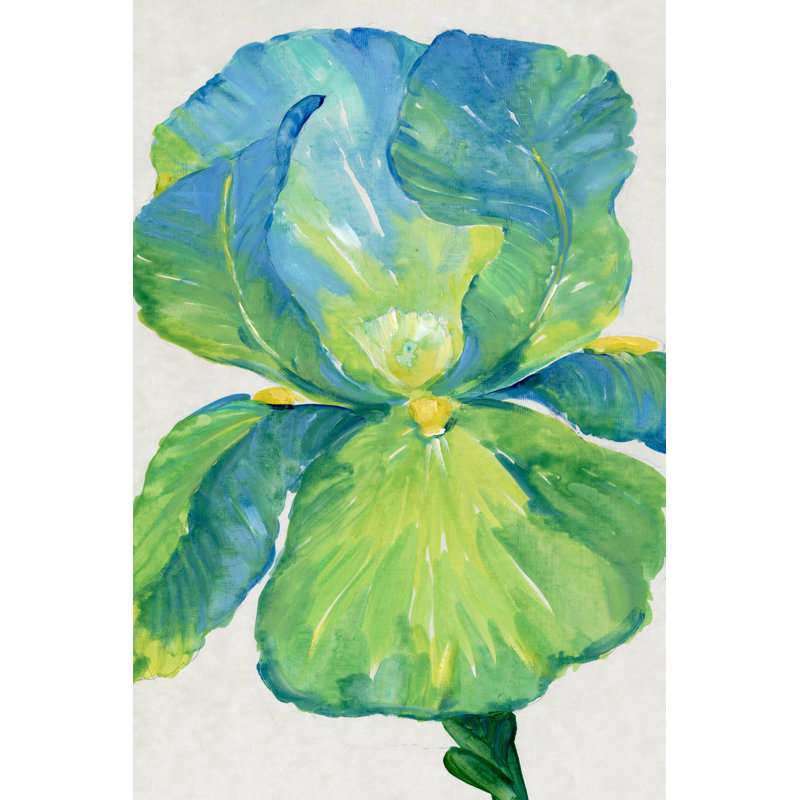 Iris Bloom In Green I - Wrapped Canvas Painting, 76 cm H x 51 cm W, Black Floater Frame