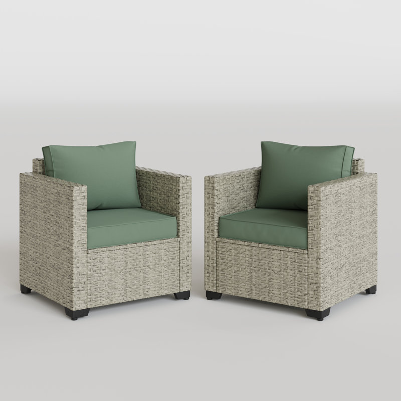 Ensemble de chaises d'extérieur en osier 31,5 po (ensemble de 2), Green