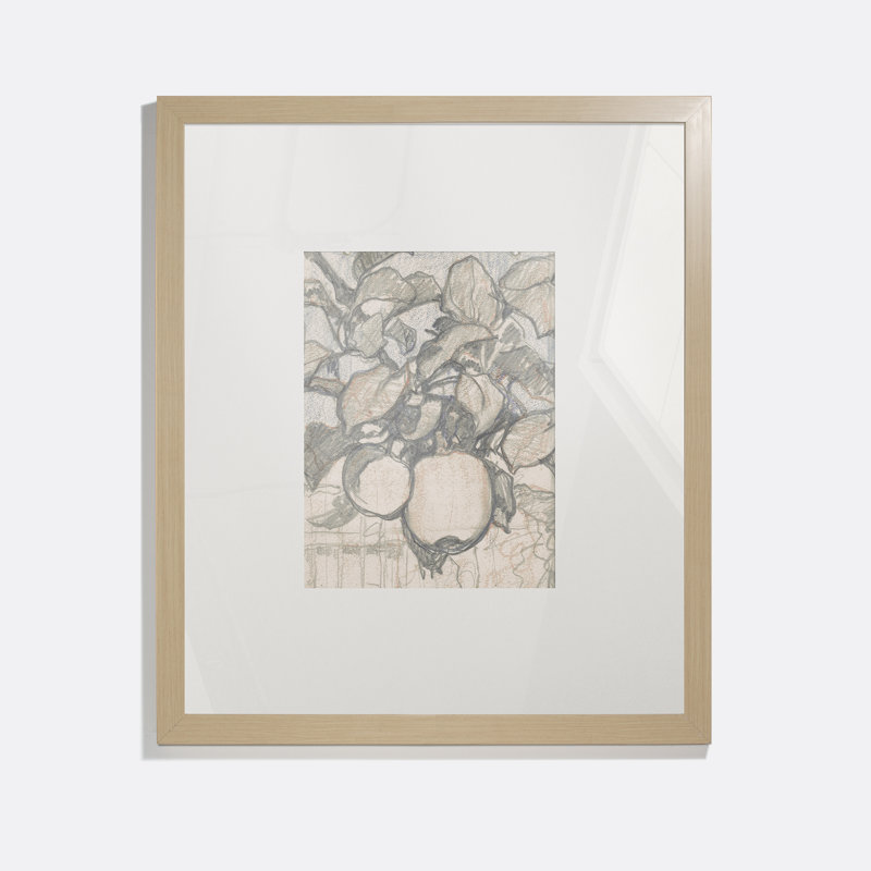 Emperor Alexander Apples Print by Jac Van Looij