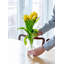 Pendaray Glass Table Vase-379437710