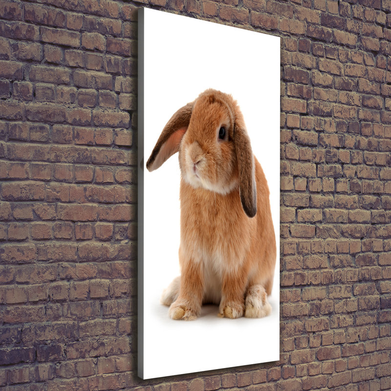Rabbit - Wrapped Canvas Print
