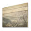 Japon, cornouiller, fleurs, colline, fleurs, art mural sur bois de pin naturel-101407715