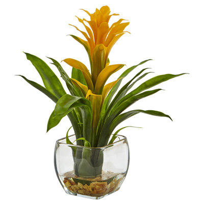 Bromeliad Arrangement in Vase