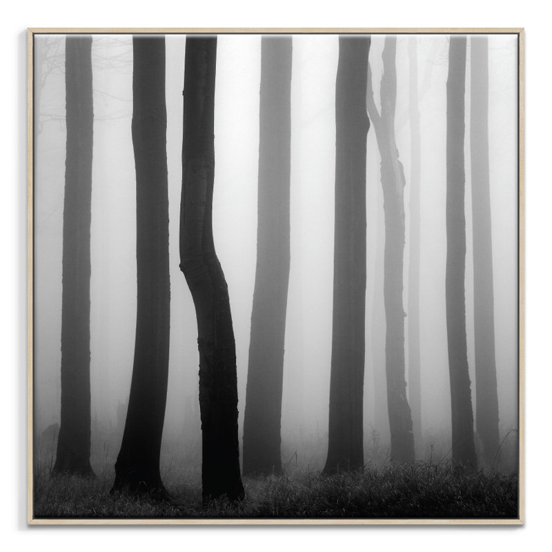 Print on Canvas, 102cm H x 102cm W, Timber Floater Frame