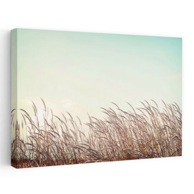 Retro Grass - Landscapes Photography Art