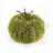 11'' Faux Moss Topiary
