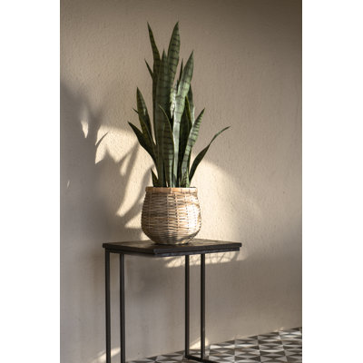 Round Bamboo Planter