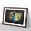 Peacock Vol.2 - Picture Frame Graphic Art-62809568-62809569