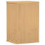 Solid Wood Bathroom Cabinet